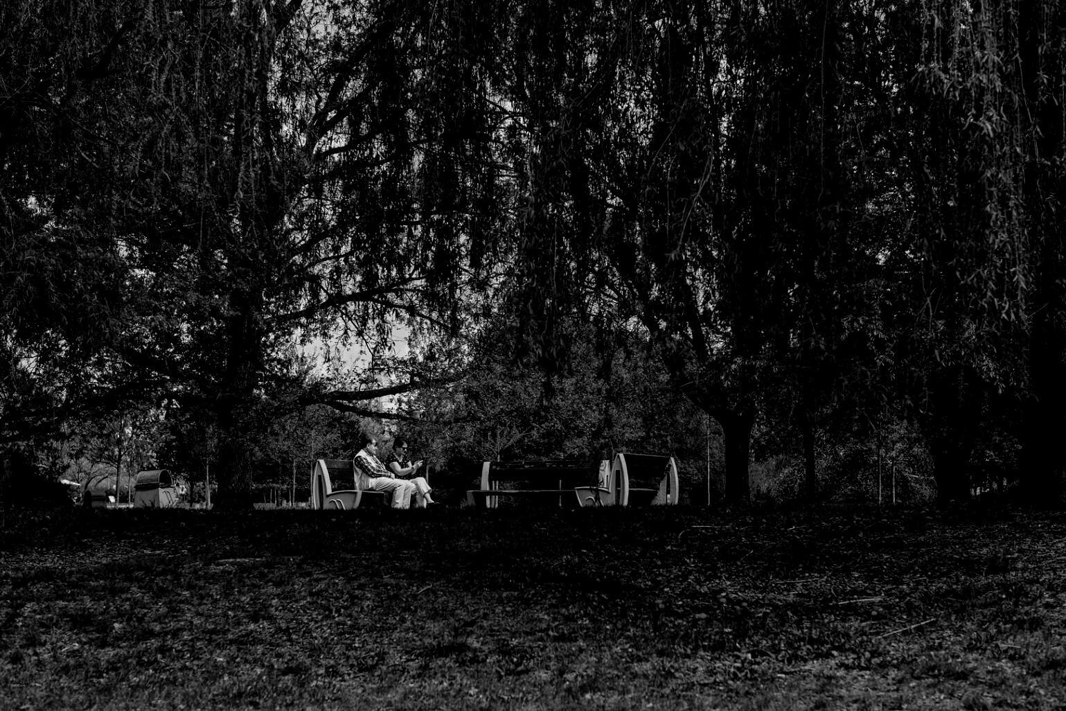 Modern accessible bathroom facility with specialized fixtures and safety features designed for elderly and disabled residents